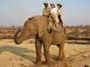 Jehan Begg - out on an elephant back safari with fellow Safari Expert, Mary